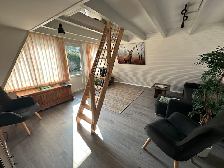 Haus Bergblick Komplettes Ferienhaus In Wolfshagen - Harz