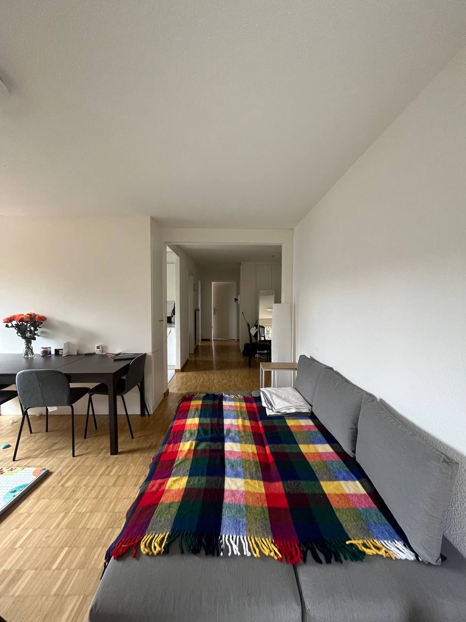 A spacious living area features a grey sofa adorned with a colorful plaid blanket. A dining table with chairs is positioned nearby, and light wood flooring contributes to a bright atmosphere. A corridor leads to other areas of the apartment, visible in the background.