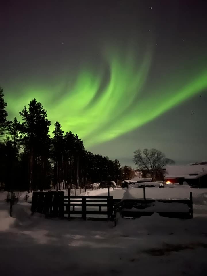 غرفة المعيشة