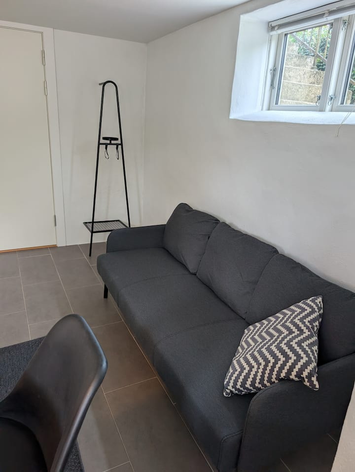 Lys Lejlighed I Kælderniveau Med Eget Badeværelse - Odense