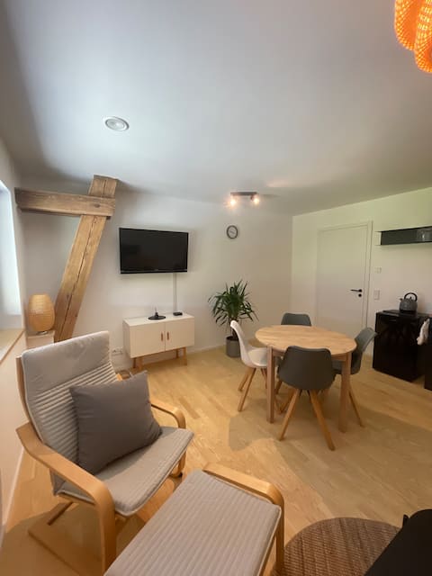 Popular Airbnb listing: No. 46 in Lindau (Bodensee)