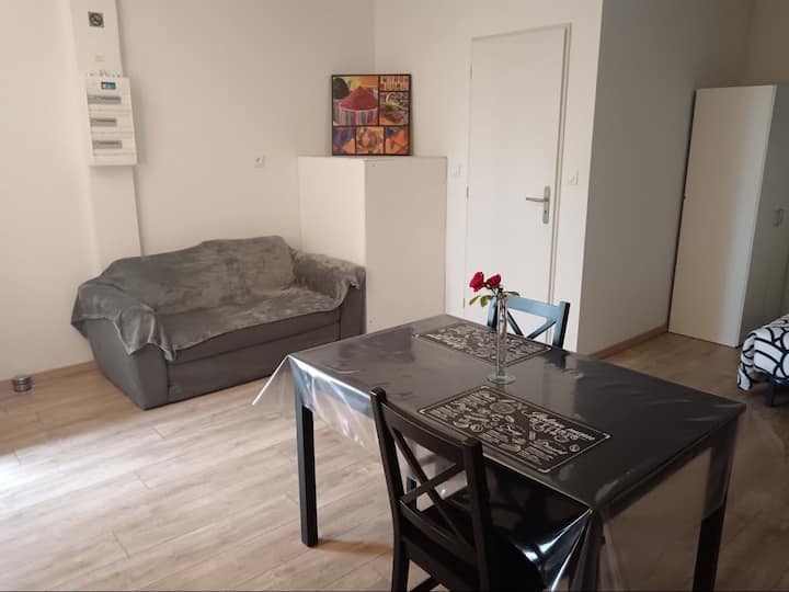 Studio Meublé - ibis budget Amberieu en Buget