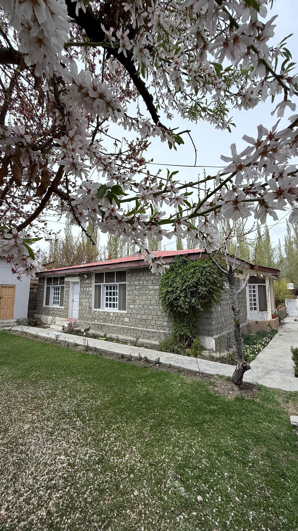 A charming stone cottage is framed by blossoming trees, with a red roof and multiple windows. The surrounding grassy area is manicured, leading to a pathway that guides to the entrance. The tranquil setting is enhanced by glimpses of blooming flowers and greenery.
