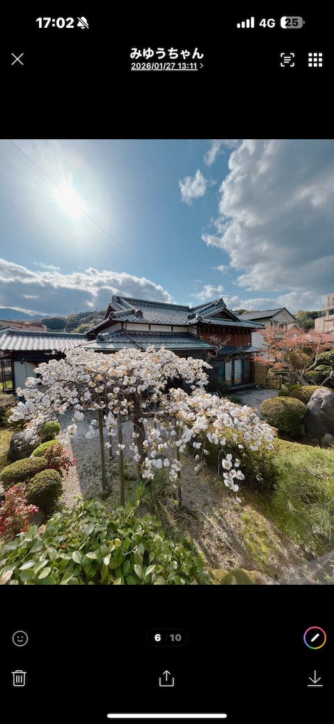 Cherry blossoms in a Japanese garden / hot spring