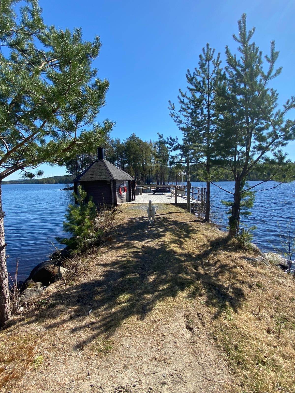 A serene lakeside view shows a wooden structure surrounded by trees, with a pathway leading towards a dock. The calm water reflects the clear blue sky. A dog walks along the path, emphasizing the natural landscape and tranquil atmosphere.
