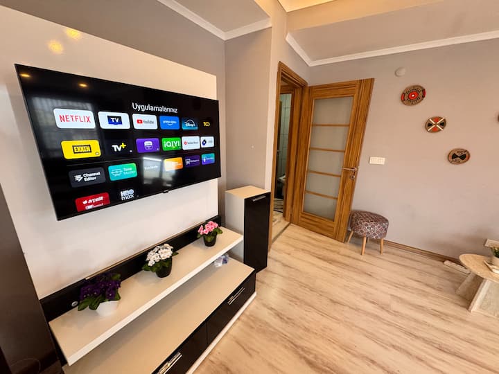 智能电视提供NETFLİX VB流媒体