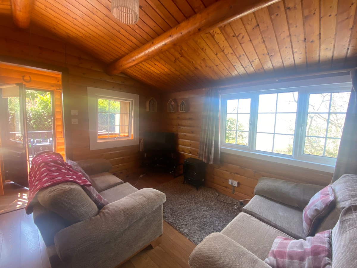 A cozy living area features wooden walls and a sloped ceiling, with natural light streaming through large windows. Soft sofas are arranged around a central rug, and a small television is positioned nearby. Access to the outdoor space is available through a door on one side.