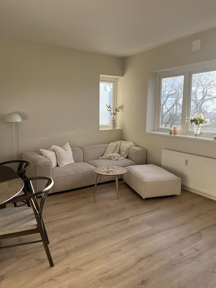 Illustration of Exclusive Penthouse Suites In Oslo Norway