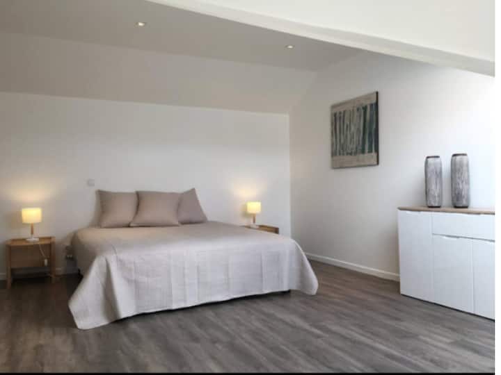 Habitación 1