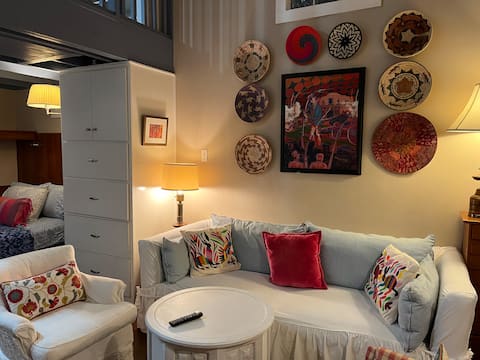 Successful Airbnb property: The Crow cottage near UT & downtown-most walkable in West University
