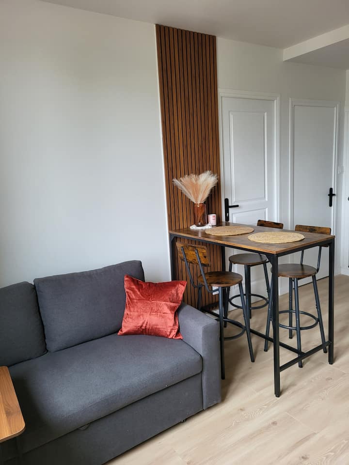 T2 Cosy Aux Portes De Lyon - ibis budget Lyon Nord Dardilly