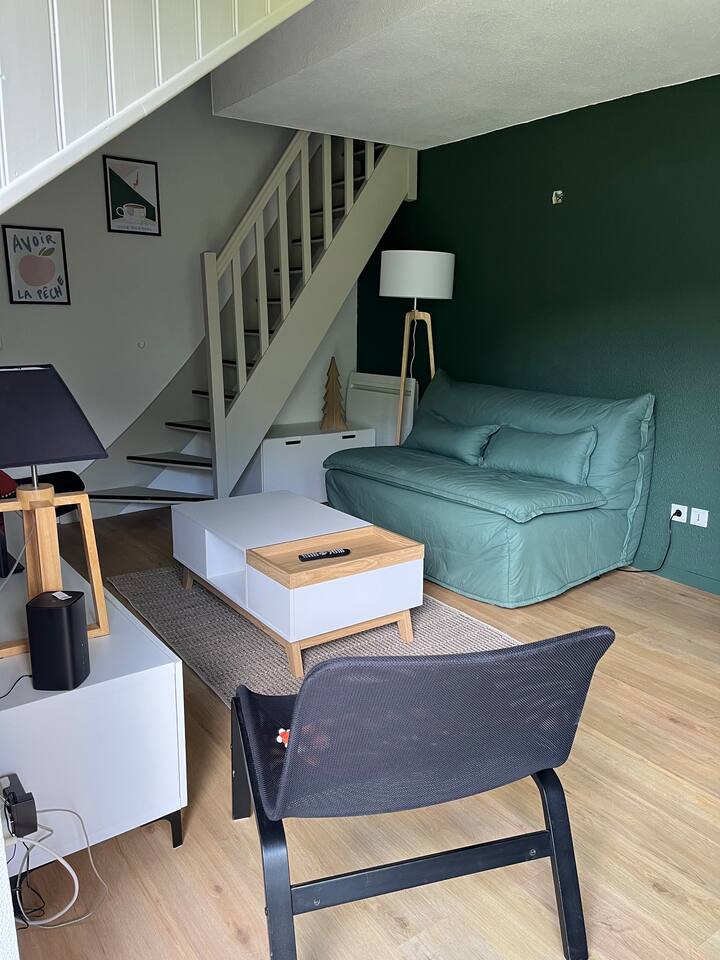 Appartement T3 Duplex - Pic du Midi