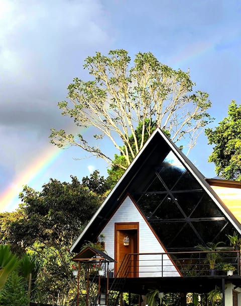 house in the woods