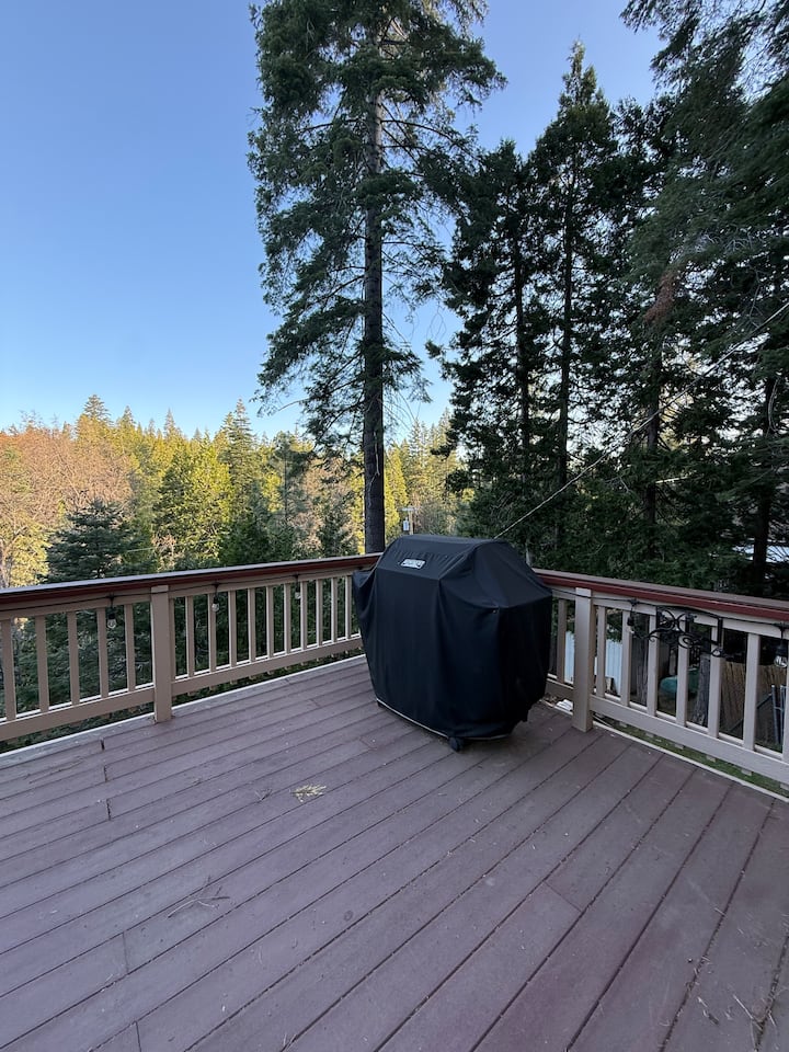 Starry Nest Cabin - Twain Harte, CA