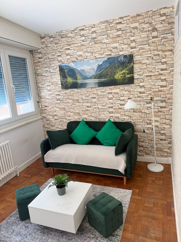 Appartement Au Centre-ville - Genève