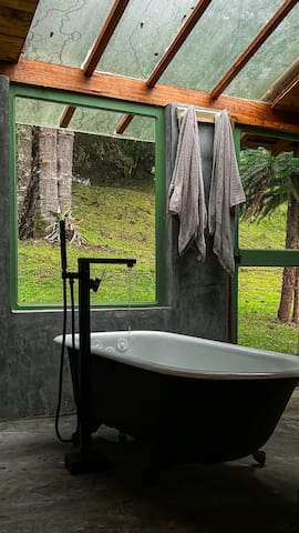 Listing in Goncalves