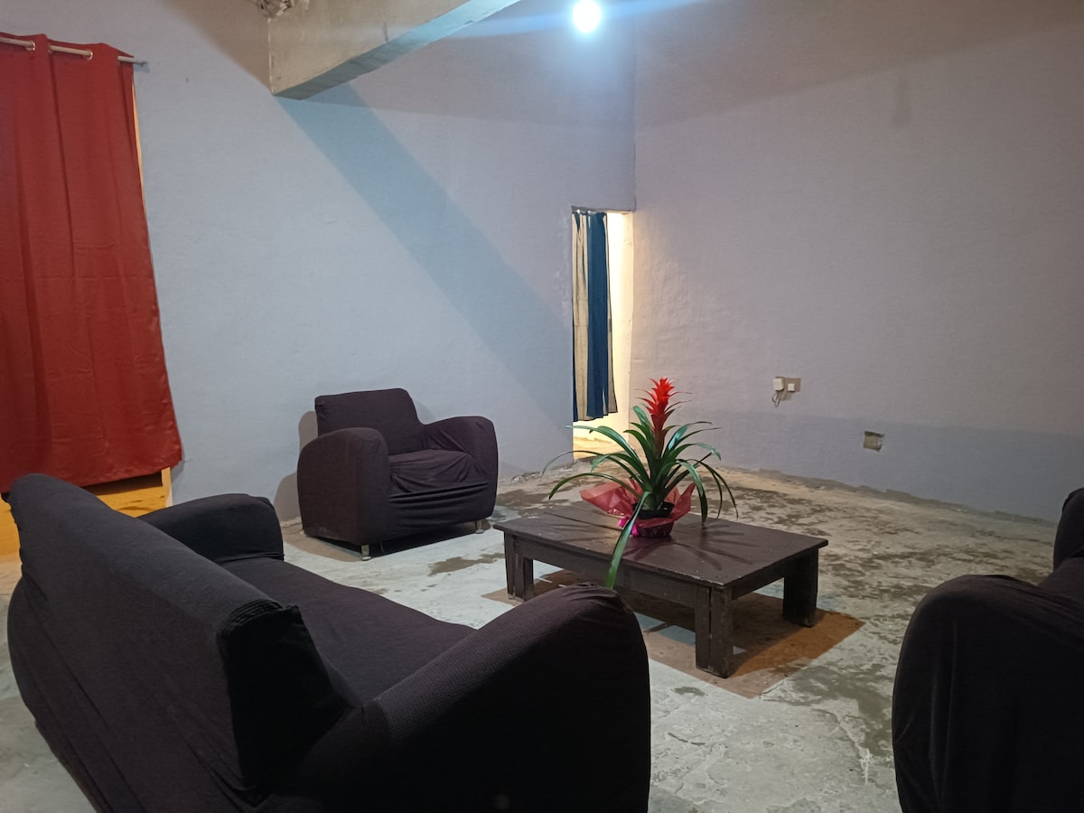 A spacious living area displays two dark-colored sofas arranged around a wooden coffee table, accentuated by a vibrant plant centerpiece. The walls are painted a soft blue, and natural light enters through an adjacent doorway. Red curtains add a touch of warmth to the setting.