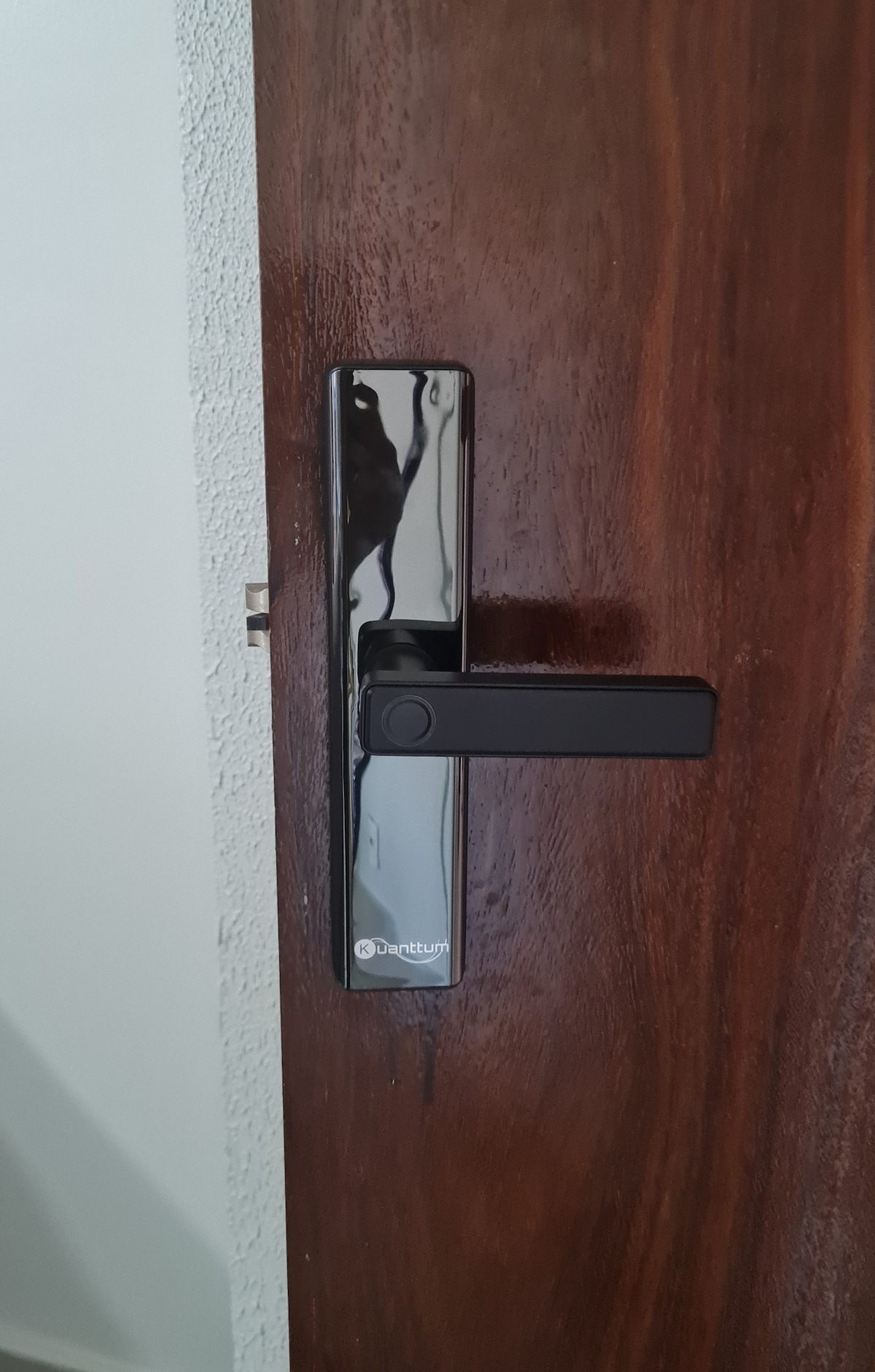 A close-up view of a modern door handle and lockset is presented. The sleek, polished design features a prominent black lever and a shiny metallic plate, showcasing a contemporary aesthetic suitable for the apartment's entrance.