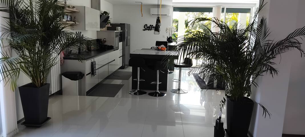 tropical gallery image 3