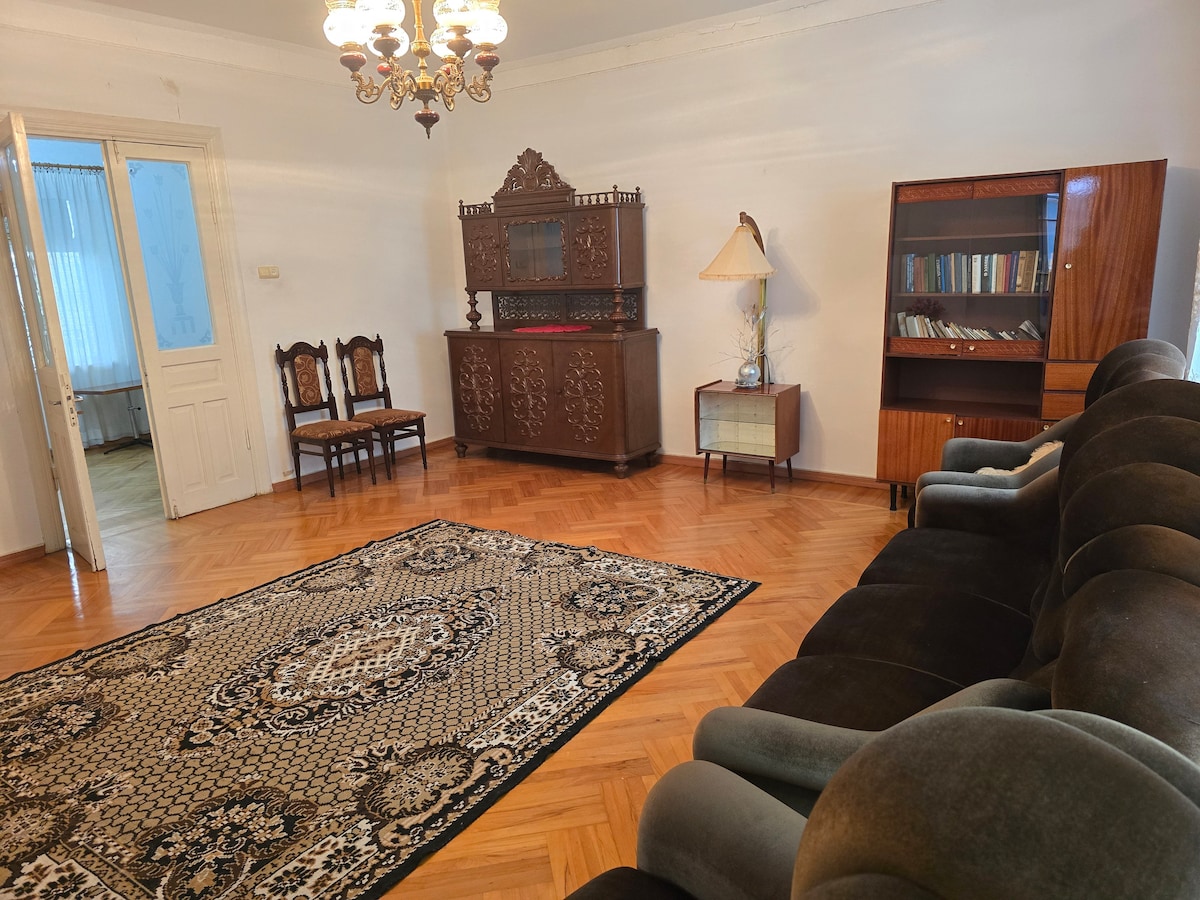 A spacious living area features a dark upholstered sofa and two wooden chairs arranged on a decorative rug. A vintage cabinet and a bookshelf are positioned against the wall, with a stylish lamp providing soft illumination. Light enters through a window, enhancing the room's ambiance.