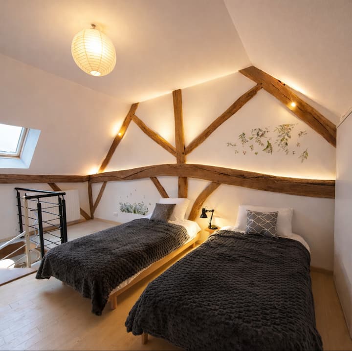 配备两张单人床的空调卧室 