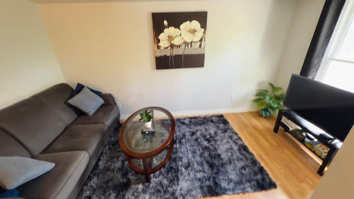 Affordable 1bhk Close To Riverside, Casino & Usa. - Detroit, MI