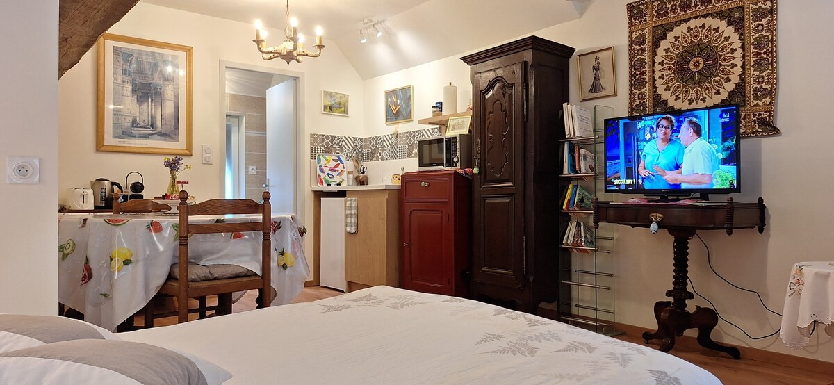 Top performing Airbnb: Renovated studio, quiet, city center, parking in Saône Et Loire