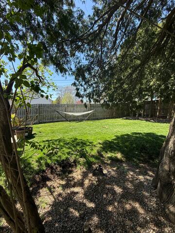 Modern oasis with luxe backyard gallery image 5