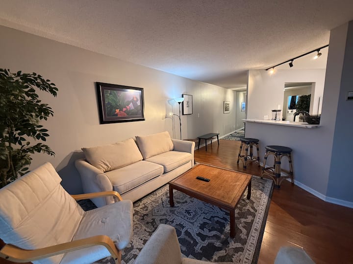 Skyway Living With Amazing Views - Minneapolis, MN
