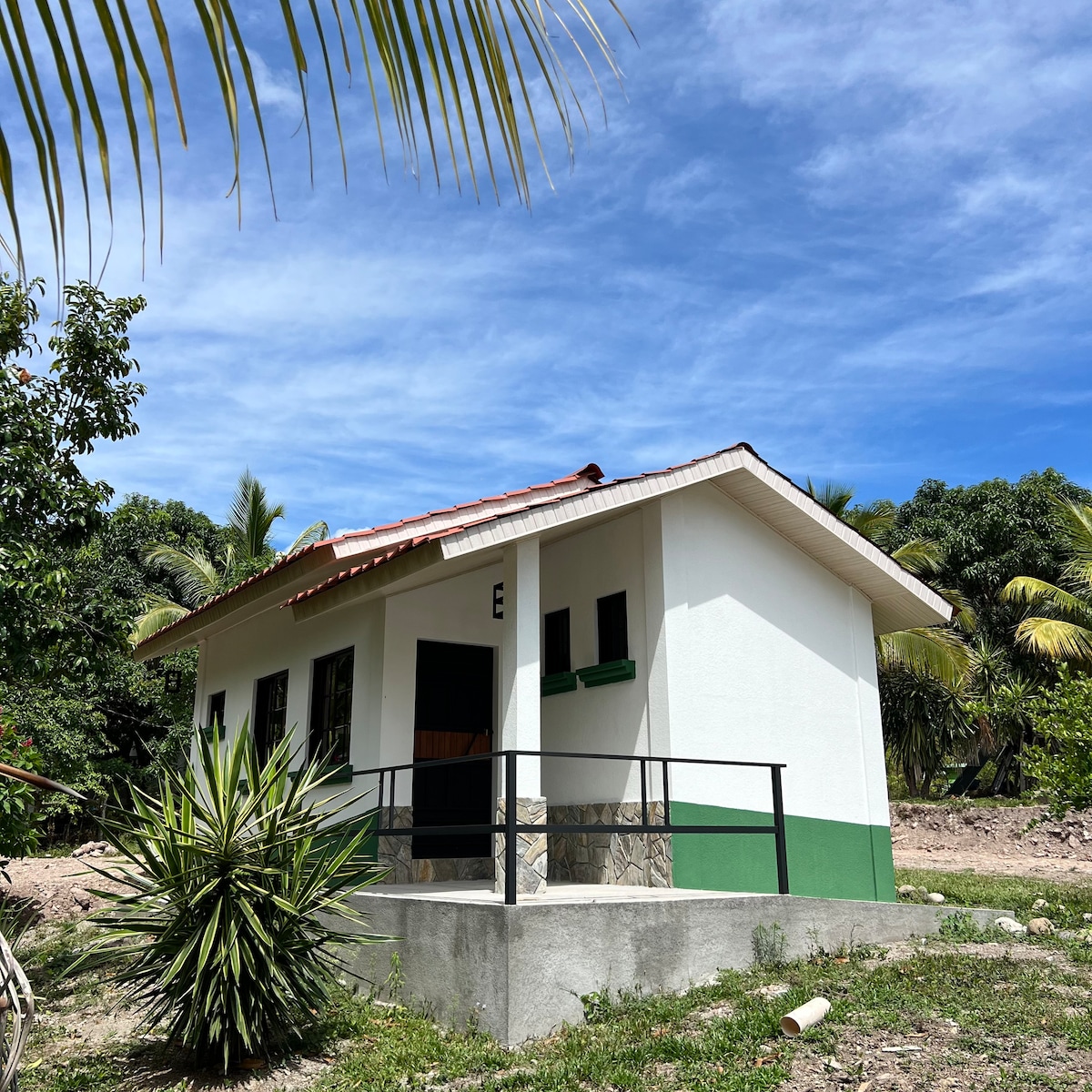 A small, single-story cabin is showcased against a clear blue sky. The structure has a simple white exterior with green accents at the base. Surrounding greenery, including palm trees and shrubs, enhances the natural setting.