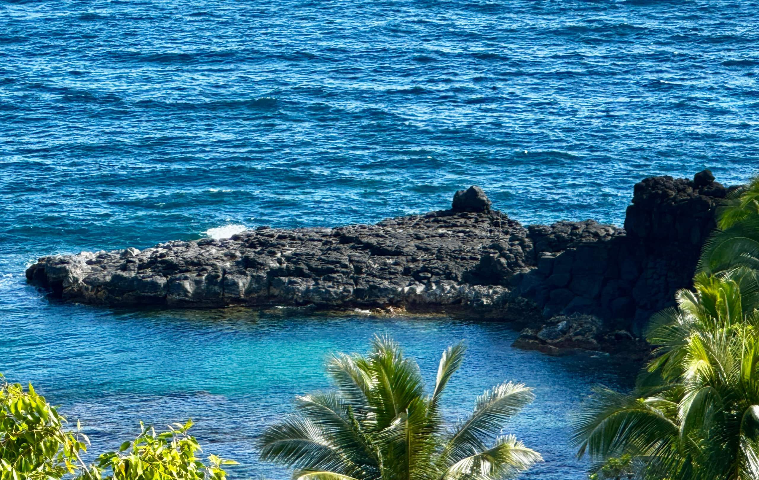 Condo in Princeville · ★4.85 · 1 bedroom · 1 bed · 1 bath - Image 23