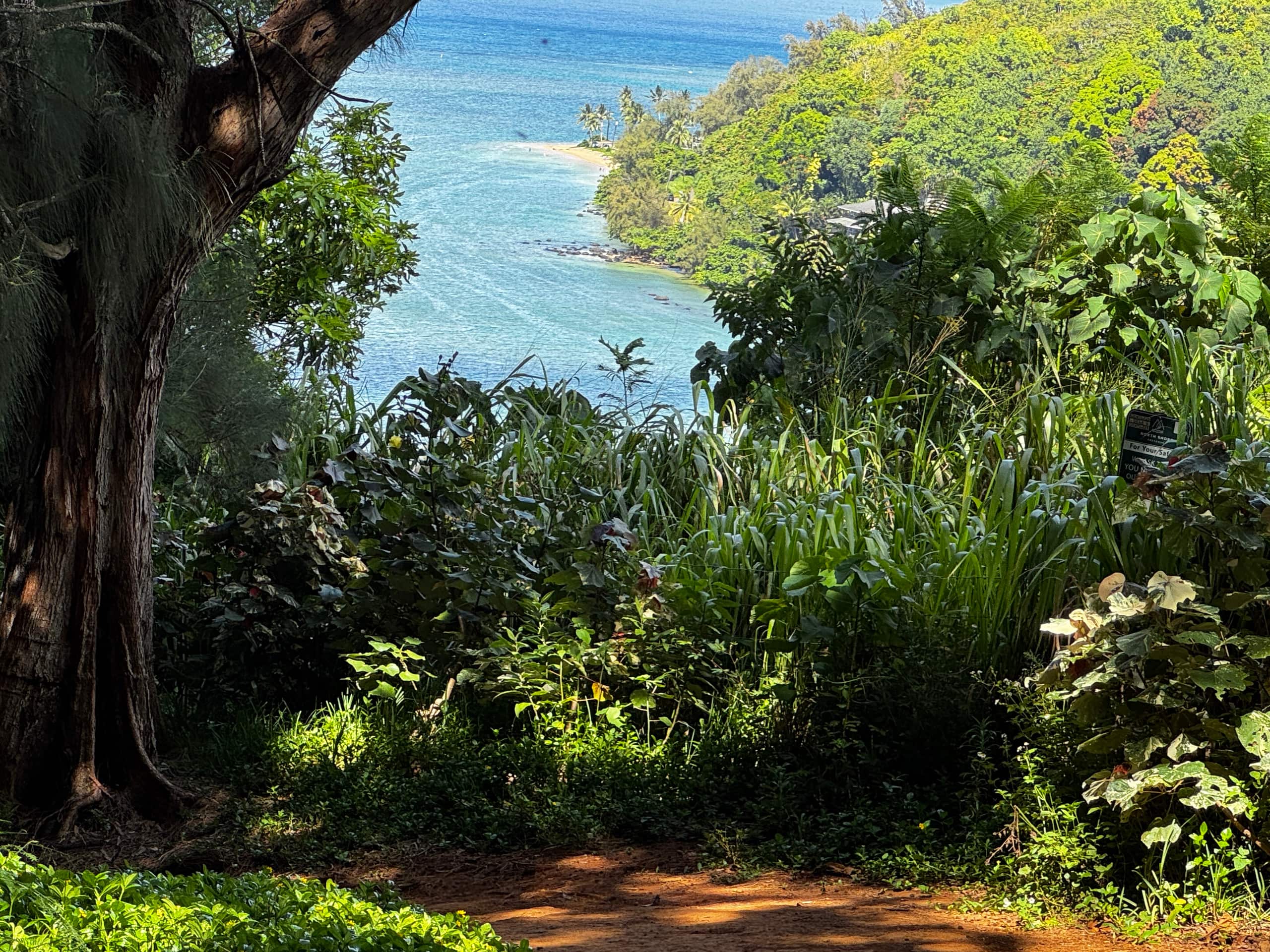 Condo in Princeville · ★4.85 · 1 bedroom · 1 bed · 1 bath - Image 44