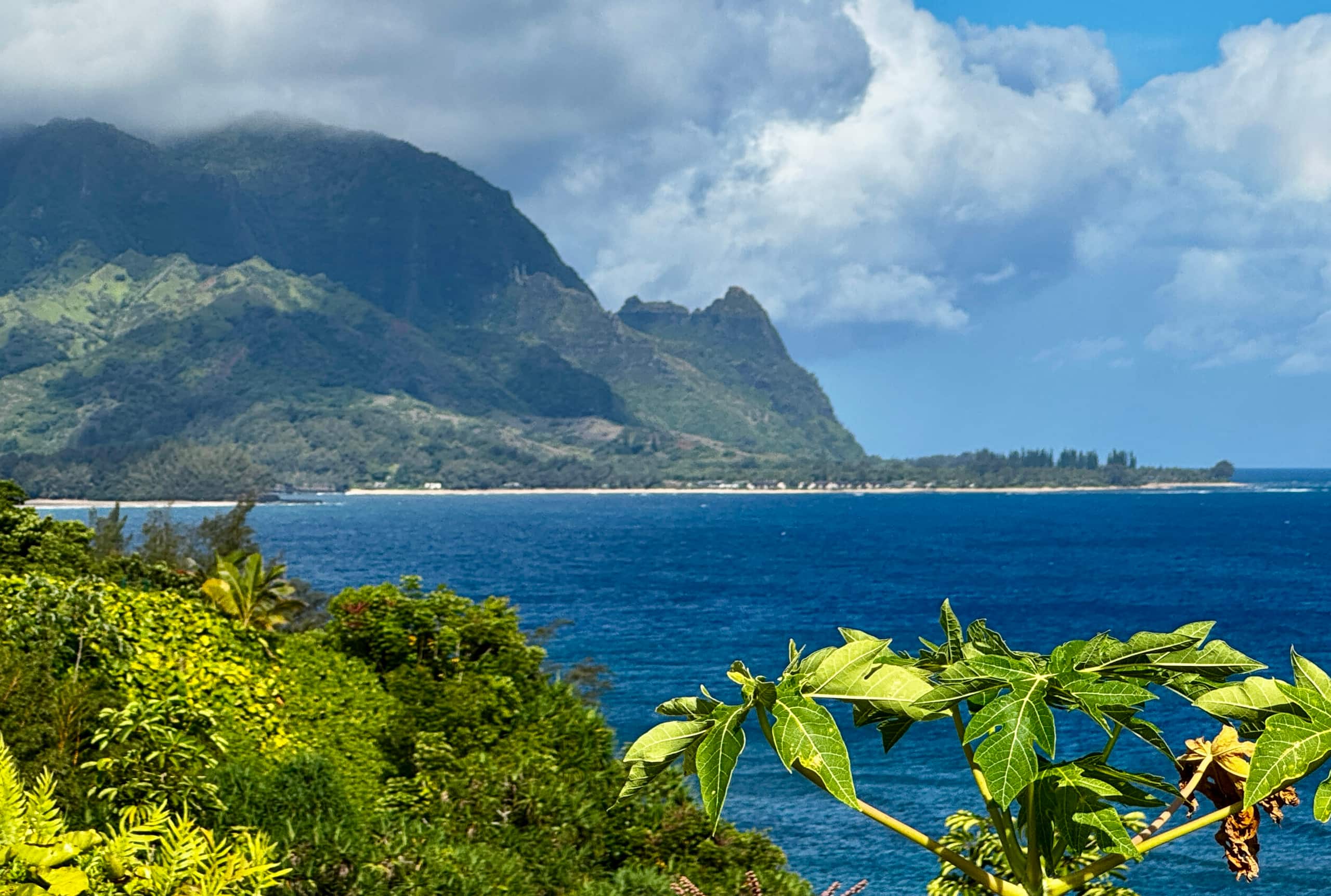 Condo in Princeville · ★4.85 · 1 bedroom · 1 bed · 1 bath - Image 25
