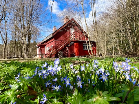 Scout hut 20 min from Copenhagen
