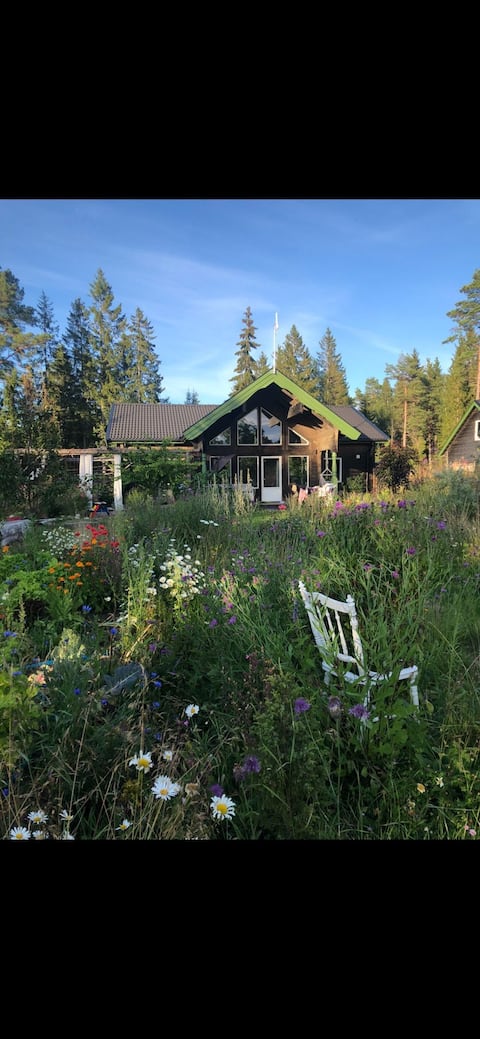 Rustic Timber House Retreat