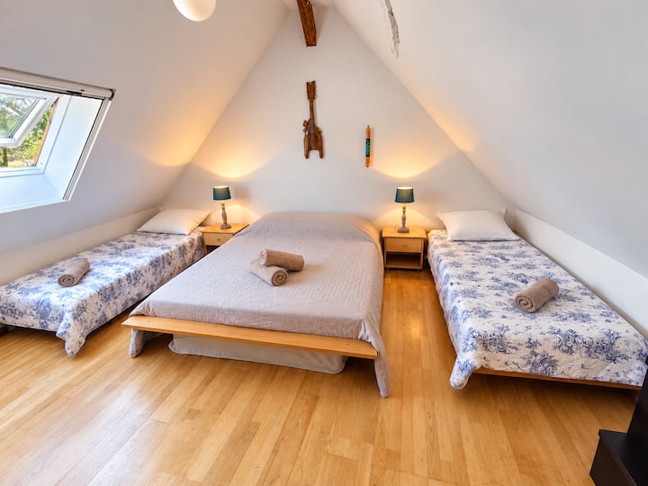 Habitación 1
