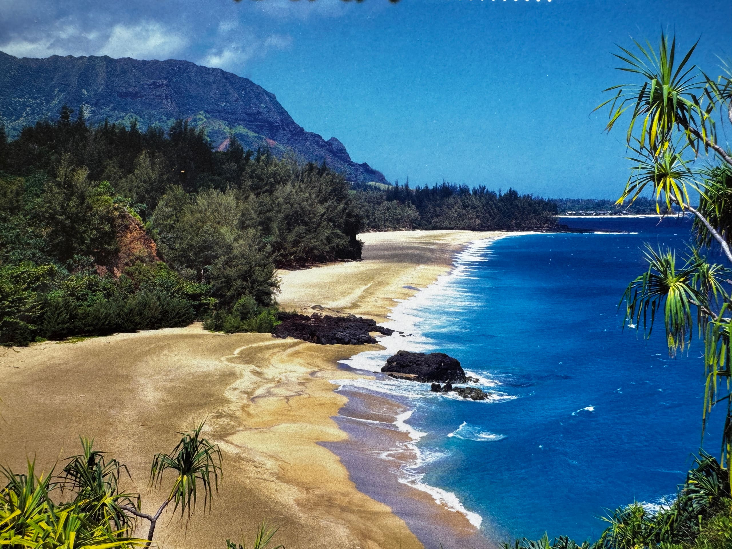 Condo in Princeville · ★4.83 · Studio · 2 beds · 1 private bath - Image 32