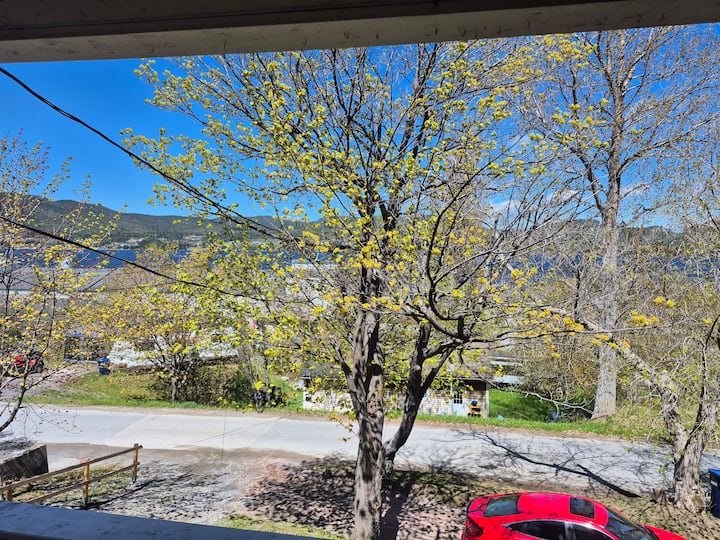 Station Suites - A Gem With A Bay View! - Corner Brook
