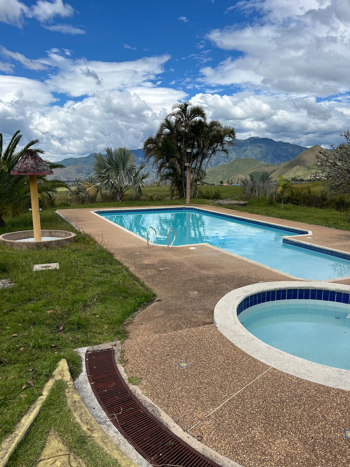An outdoor area features a clear swimming pool alongside a circular jacuzzi. Lush greenery surrounds the space, with palm trees in the background. The pool deck consists of a textured surface that seamlessly transitions between the pool and jacuzzi areas.
