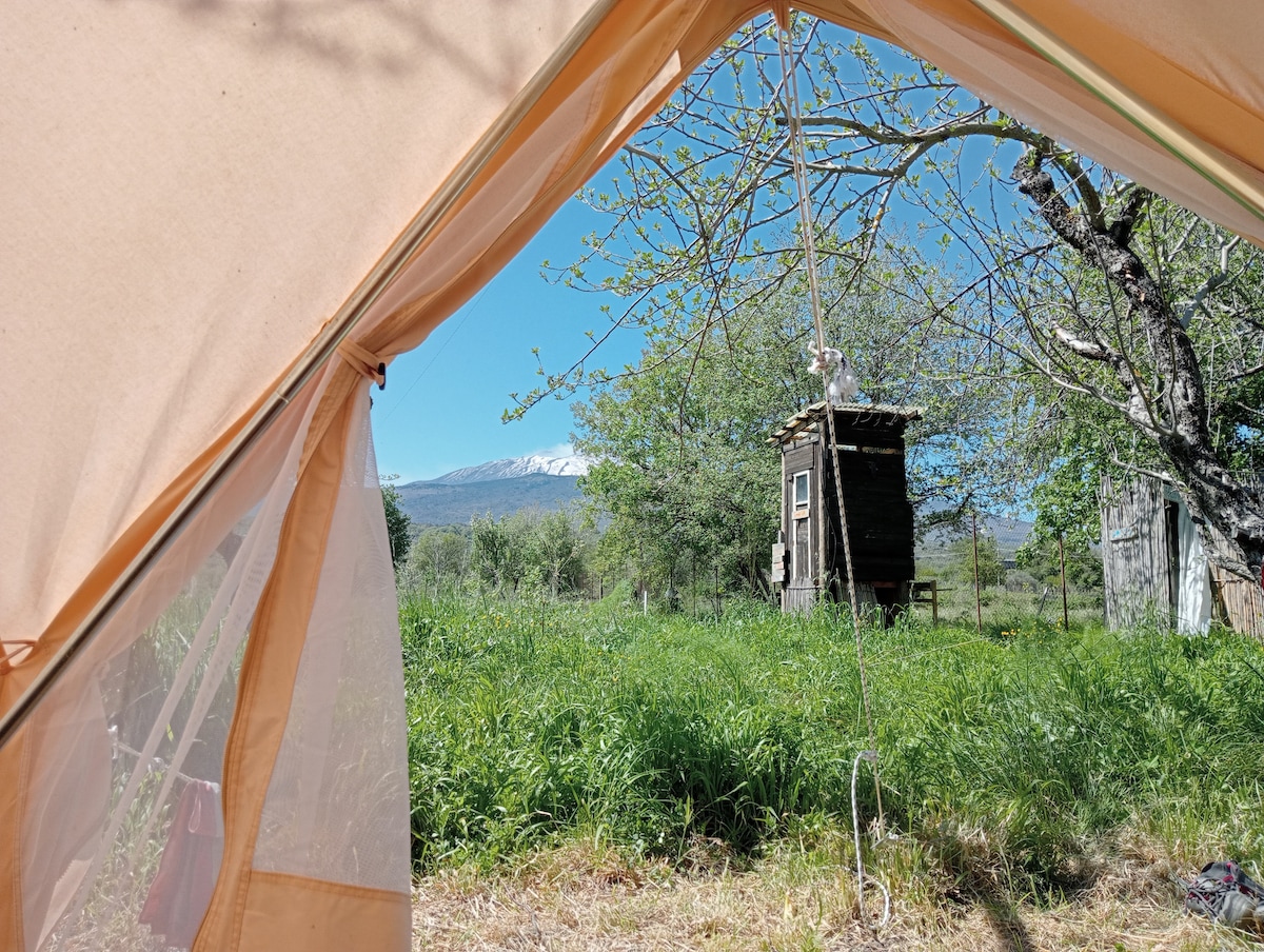 The image captures a view from within a cotton tent, framed by its opening. Lush green grass is visible, leading to a rustic wooden structure surrounded by trees, with the snowy peak of Mount Etna visible in the background under a clear blue sky.