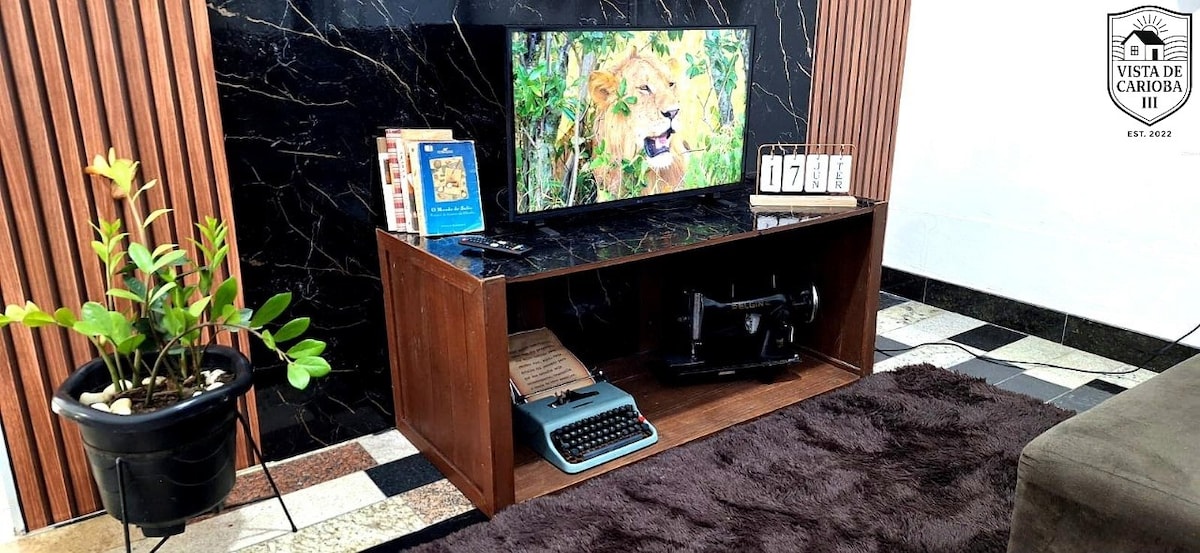 A wooden television stand is positioned against a dark, patterned wall, featuring a flat-screen TV displaying vibrant imagery. A typewriter sits on the shelf, accompanied by books. A green plant in a black pot adds a touch of nature to the space, contrasted by a soft, dark rug.