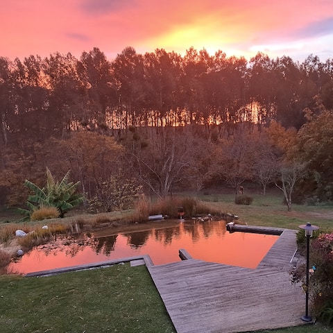 Friendly house, natural swimming, facing the woods