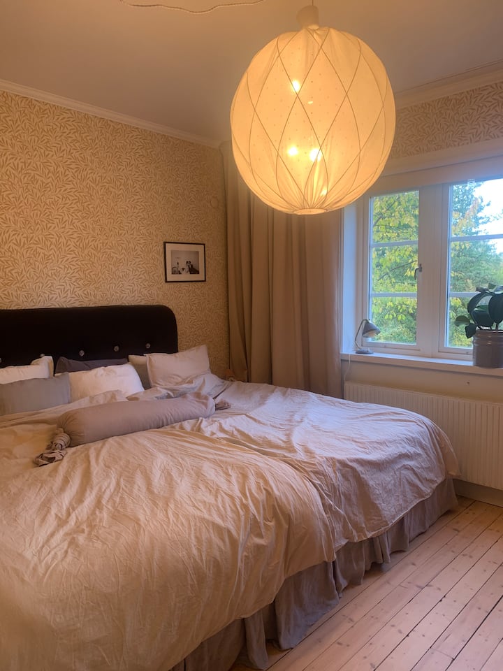 La cama doble grande tiene 250 cm de ancho (compuesta por una de 160 cm y otra de 90 cm de ancho).