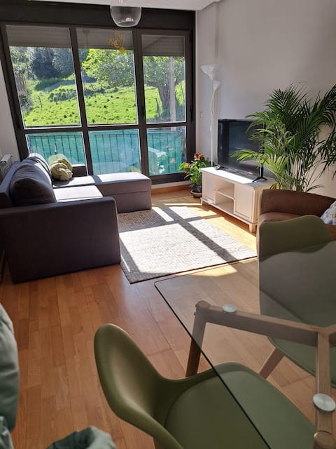 Bonito apartamento en Limpias