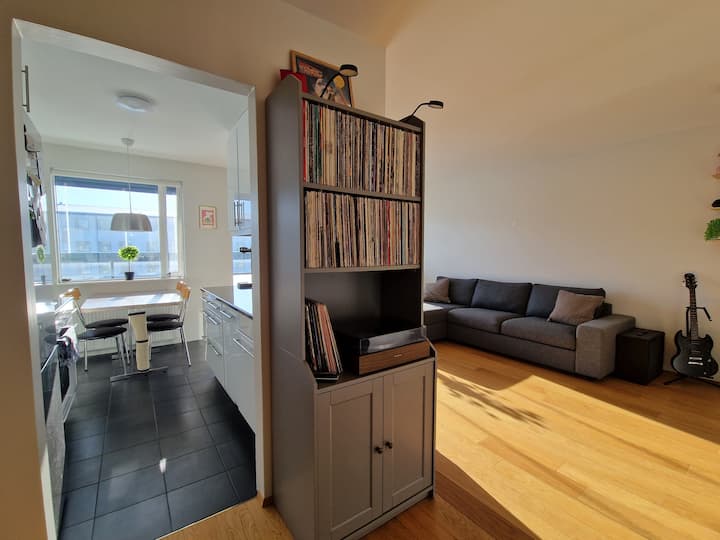 Cozy One Bedroom Apt | Close To City & Nature - Reykjavik