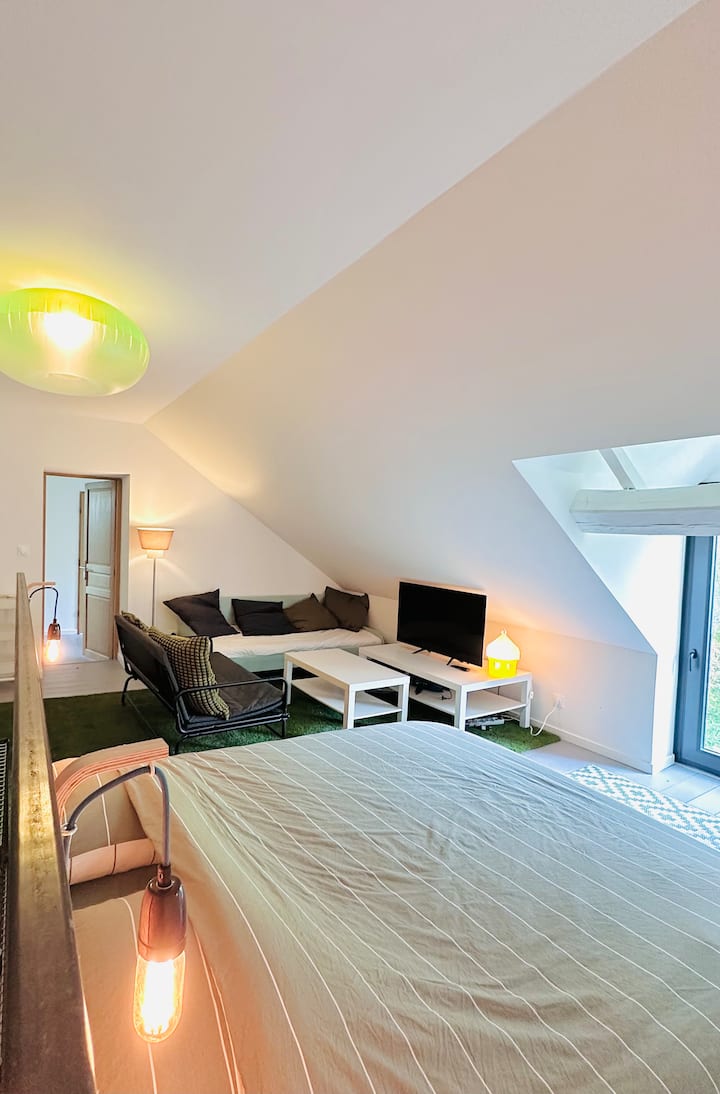 Vue de la chambre depuis palier haut canapé.
Lit en 160 au premier plan avec vue en hauteur sur le jardin.
Lit en 90 sur le mur d’en face.