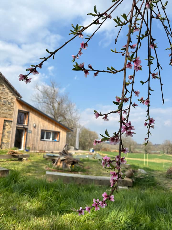 Pampelune
(La Parenthèse Corrézienne) - Arnac-Pompadour