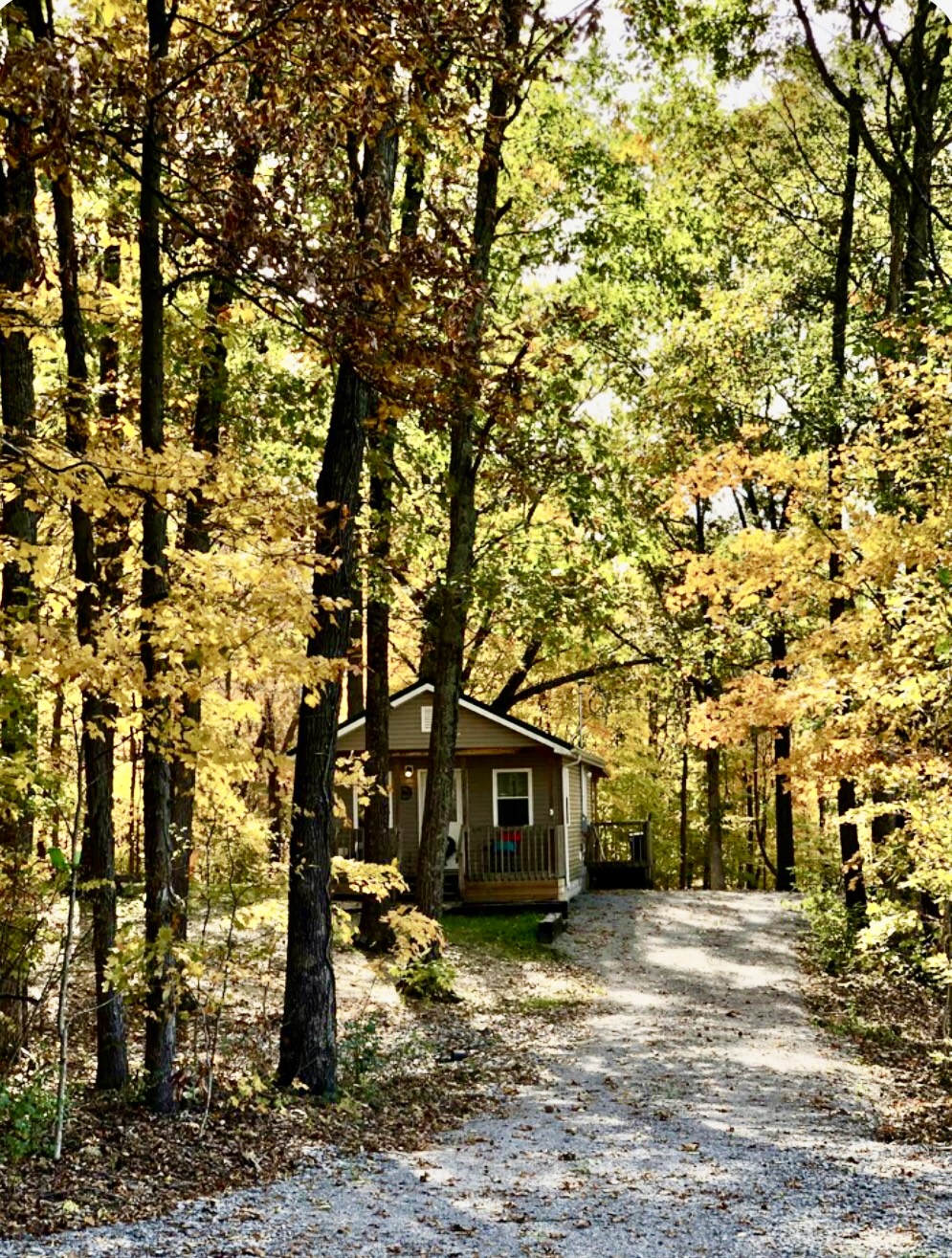 A cabin is nestled among vibrant autumn foliage, with shades of yellow and orange adorning the trees. A gravel path leads to the entrance, framed by the natural beauty of the wooded surroundings.