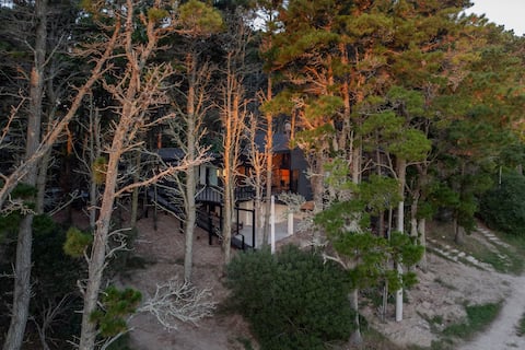 Experience among trees / Sea of the Pampas