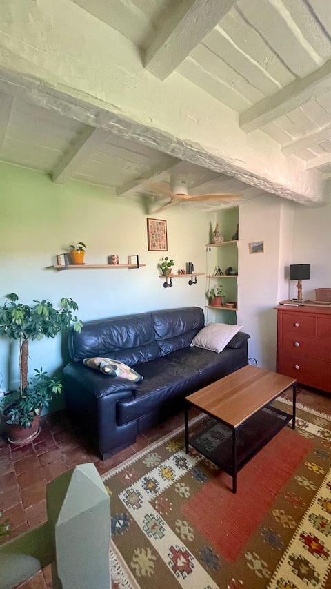 Top Airbnb: Provençal retreat at the foot of Mont Ventoux in Bédoin